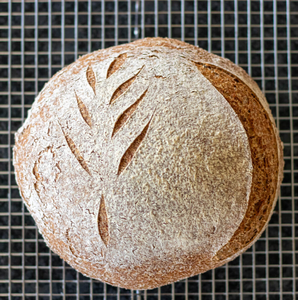 whole wheat sourdough boule cooling on a wire rack