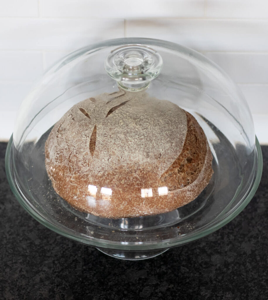 a whole wheat sourdough boule in a glass cake stand