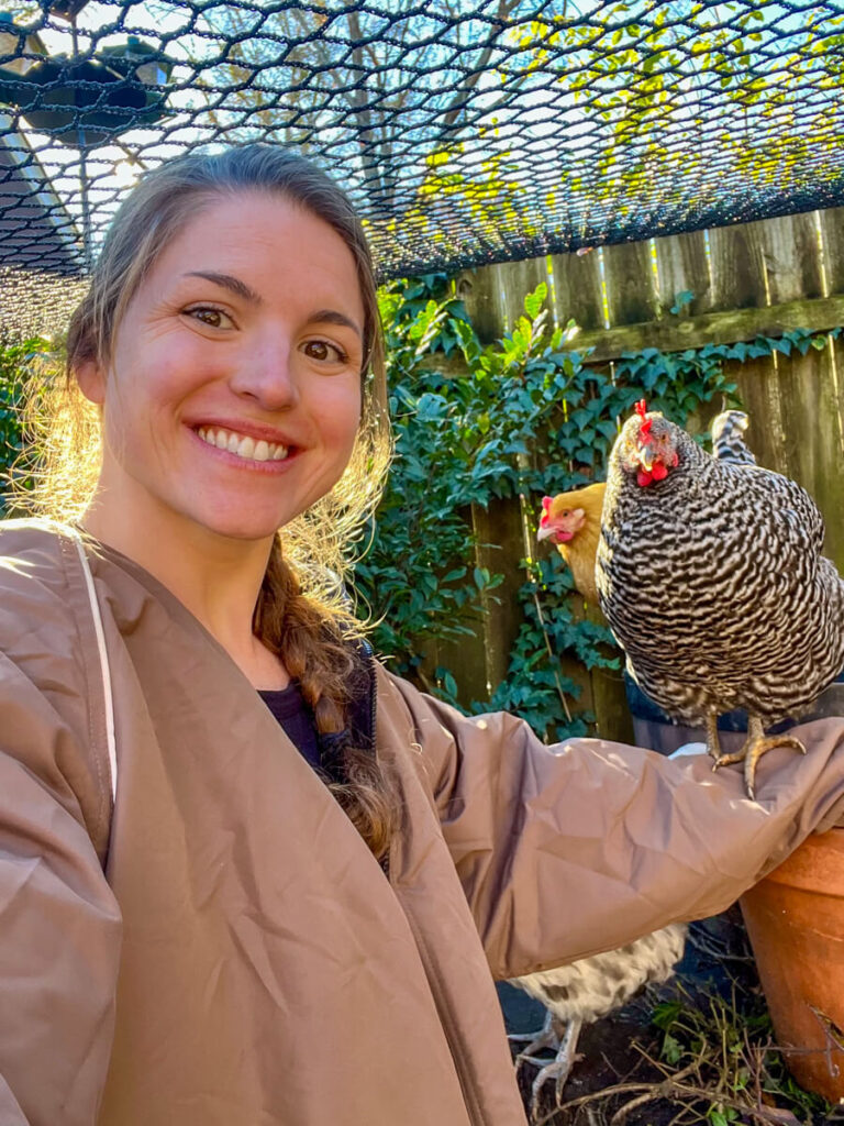 a woman holding a plymouth barred rock chicken